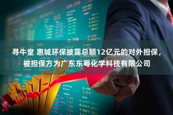 寻牛堂 惠城环保披露总额12亿元的对外担保，被担保方为广东东粤化学科技有限公司