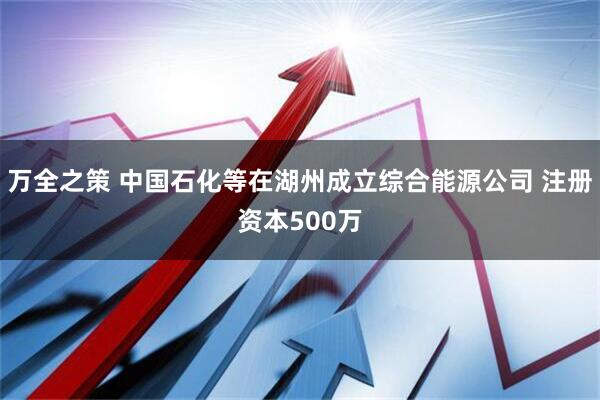 万全之策 中国石化等在湖州成立综合能源公司 注册资本500万