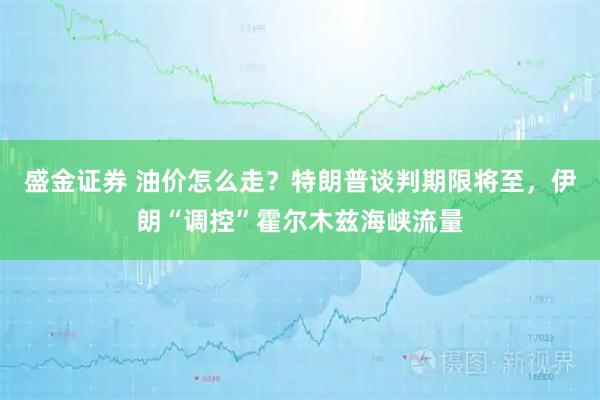 盛金证券 油价怎么走?特朗普谈判期限将至,伊朗“调控”霍尔木兹海峡流量