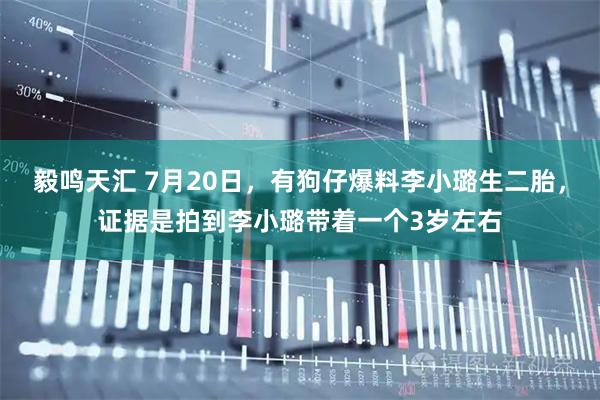 毅鸣天汇 7月20日，有狗仔爆料李小璐生二胎，证据是拍到李小璐带着一个3岁左右