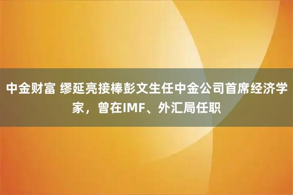 中金财富 缪延亮接棒彭文生任中金公司首席经济学家，曾在IMF、外汇局任职