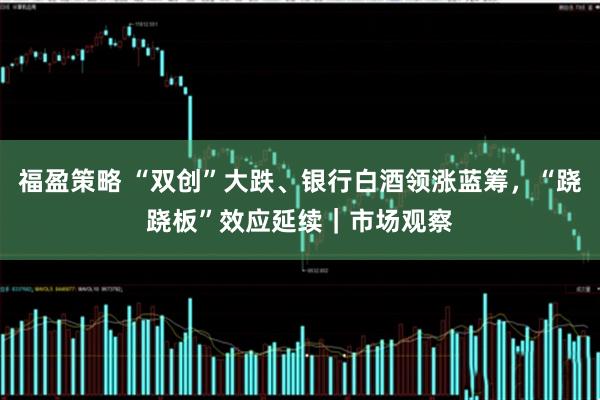 福盈策略 “双创”大跌、银行白酒领涨蓝筹，“跷跷板”效应延续｜市场观察