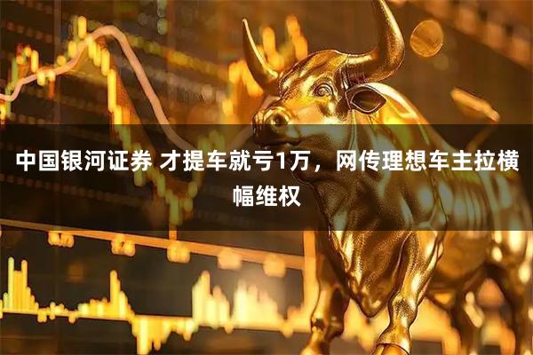 中国银河证券 才提车就亏1万，网传理想车主拉横幅维权